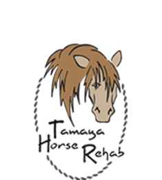 Tamaya Horse Rehab