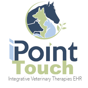 iPoint Touch LLC